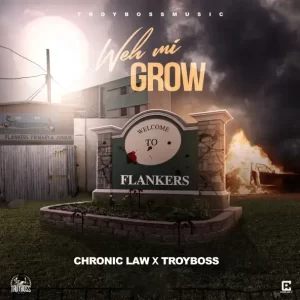 Chronic Law - Weh Mi Grow (feat. Troyboss)