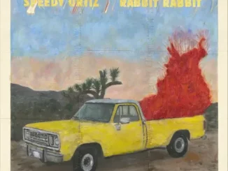 Speedy Ortiz – Rabbit Rabbit