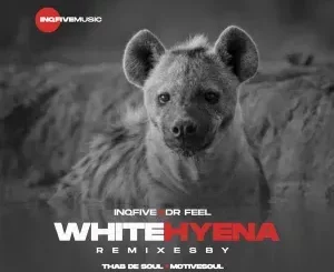 InQfive & Dr Feel – White Hyena (Thab De Soul Remix)