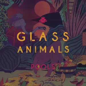 Glass Animals – Pool