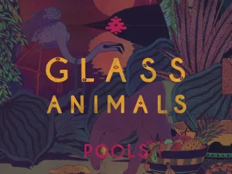 Glass Animals – Pool