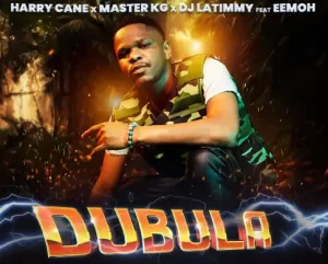 HarryCane x Master KG & DJ Latimmy - Dubula (Nyusa Nyusa) Ft. Eemoh