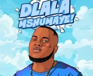 Shazmicsoul - Dlala Mshumaye Ft. CowBoii