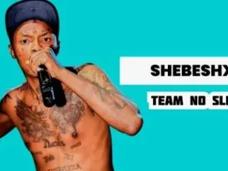 Team No Sleep - Shebeshxt