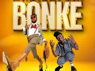 Fani – Andibafuni Bonke ft Bravo Le Roux