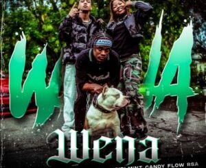 Jimmy Maradona & Jay Music – Wena Ft. Babygirlmint & Candy Flow RSA