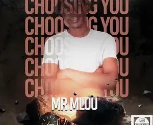 Ep: Mr Mluu - Choosing You