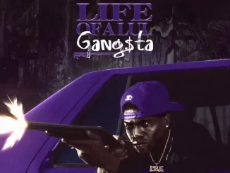 Jay Fizzle – Life of a Lul Gangsta