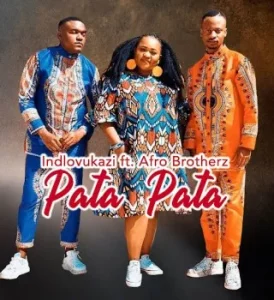 INDLOVUKAZI – Pata Pata Ft. Afro Brotherz