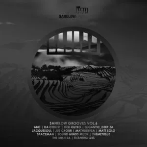 Album: VA - Sanelow Grooves, Vol. 6