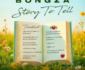 Album: Bongza - Story to Tell