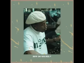 SETHUU – How Do You Feel?? ft Big Xhosa