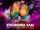 2point1 Ft BelloM, Epic DJ, Seneath & X-Morizo – Sthandwa Sam