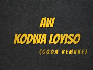 Deejay Zebra SA & Protée - Aw Kodwa Loyiso (Gqom Remake)