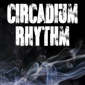 Drake – Circadian Rhythm