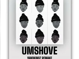 Kabza De Small, Leehleza – Umshove (YanoKinqz Remake)