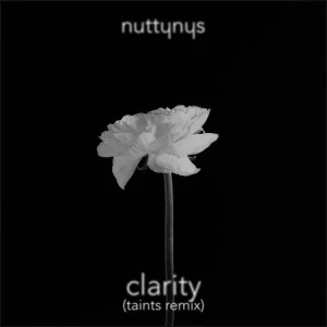 Nutty Nys – Clarity (Taints Remix)