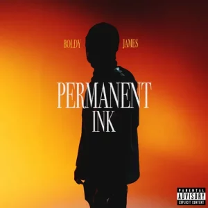 Permanent Ink

Boldy James