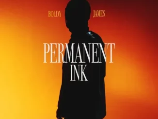 Permanent Ink Boldy James