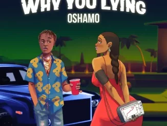 oSHAMO - Why You Lying